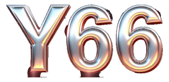 y66 logo